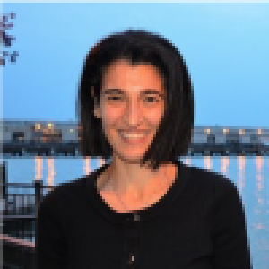 Sepideh Modrek